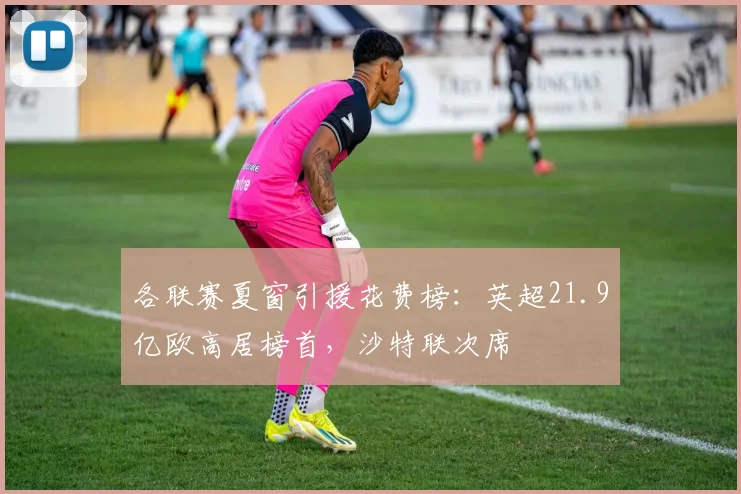 各联赛夏窗引援花费榜：英超21.9亿欧高居榜首，沙特联次席