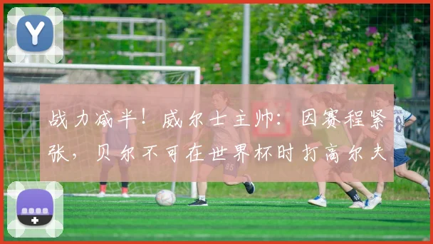 战力减半！威尔士主帅：因赛程紧张，贝尔不可在世界杯时打高尔夫